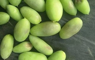 植?？萍贾r業發展，特色產業推動鄉村振興