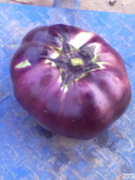 農(nóng)產(chǎn)品銷(xiāo)售與農(nóng)作物種子經(jīng)營(yíng)的融合發(fā)展策略